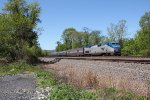 Amtrak 119 leading train 42 through Cove PA
